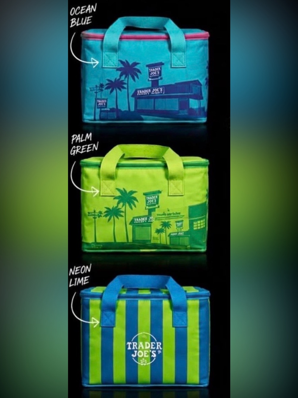 3 Trader Joe's Insulated Cooler Tote - Ocean Blue, Palm Green, Neon Lime